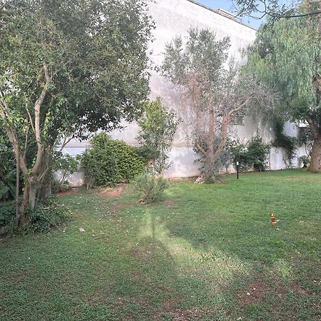 Villa Teresa Maria Porto Cesareo Exteriör bild
